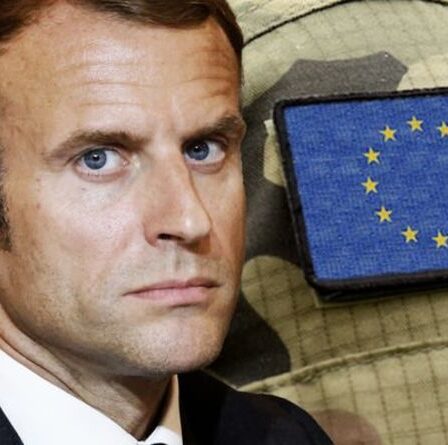 Les demandes d'Emmanuel Macron pour l'armée européenne sont la preuve que la France "ne peut pas faire cavalier seul" - expert