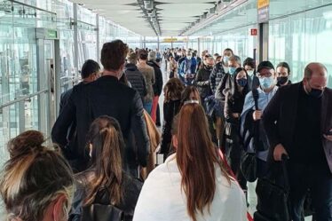 Les passagers d'Heathrow signalent des retards de quatre heures après la nouvelle défaillance des portes électroniques