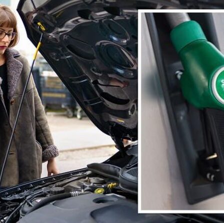Les problèmes de performances de l'essence E10 pourraient s'aggraver pour les conducteurs par temps froid