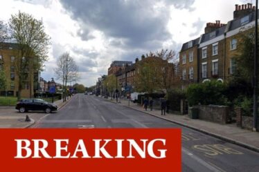 L'horreur du bain de sang à Londres alors qu'un garçon se précipitait à l'hôpital après avoir poignardé Brixton en plein jour