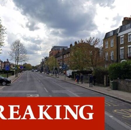 L'horreur du bain de sang à Londres alors qu'un garçon se précipitait à l'hôpital après avoir poignardé Brixton en plein jour