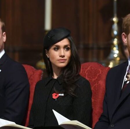 Meghan Markle et le prince Harry ont dit qu'ils ressemblaient davantage à Kate et au prince William