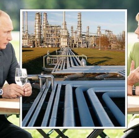 Merkel a claqué alors que Poutine exploite la dépendance "isolée" du gaz de l'Allemagne: "Le rend plus fort!"