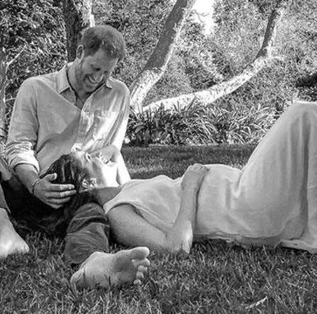 Mise à jour de Lilibet Diana : Harry et Meghan « gardent l'aide embauchée au minimum »