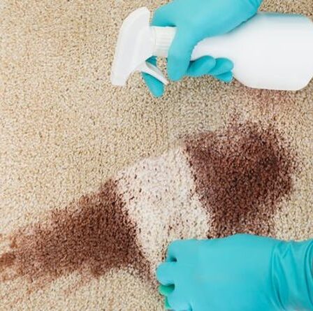 « Nettoyeur miracle ! »  Les fans de Mme Hinch partagent un hack « brillant » pour éliminer les taches de tapis