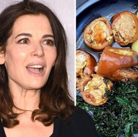 Nigella Lawson divise les fans avec un dîner pré-fait qui comprend un article utilisé comme friandise pour chien