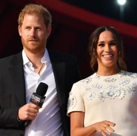 « Nom publicitaire auto-généré de leur jeu ! »  Harry & Meghan brutalement analysés par un expert