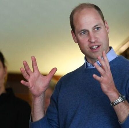 « Notre futur roi ! »  William et Kate ravissent les jeunes fans tout autant que Harry et Meghan