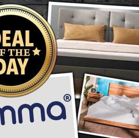 OFFRE DU JOUR : Économisez jusqu'à 50 % sur les matelas, les oreillers et la literie d'Emma Sleep