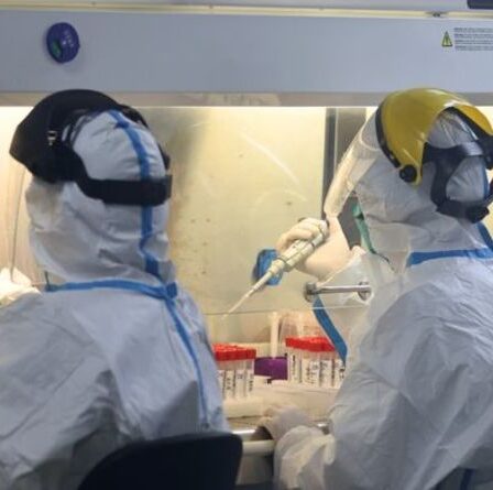 Pas encore!  L'auteur prévient qu'une autre pandémie pourrait survenir à moins que le mystère de Wuhan ne soit résolu