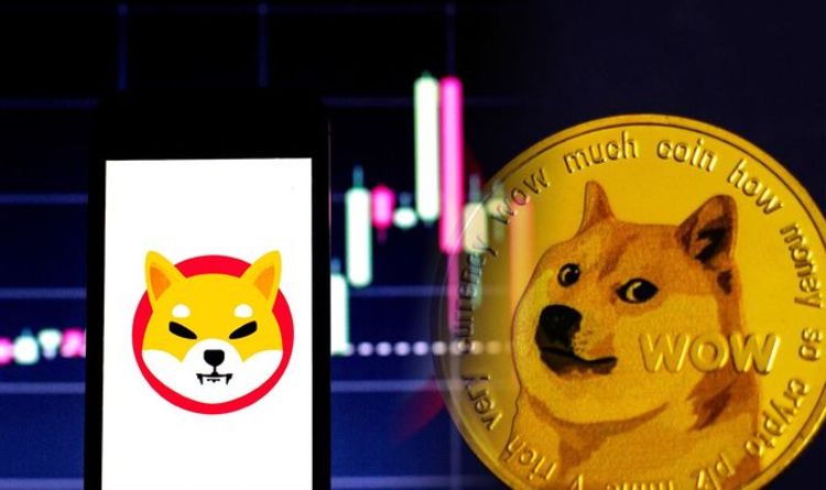 Prix ​​de la pièce Shiba Inu : SHIB monte en flèche à 235% - mais quel est le prix de la pièce ?