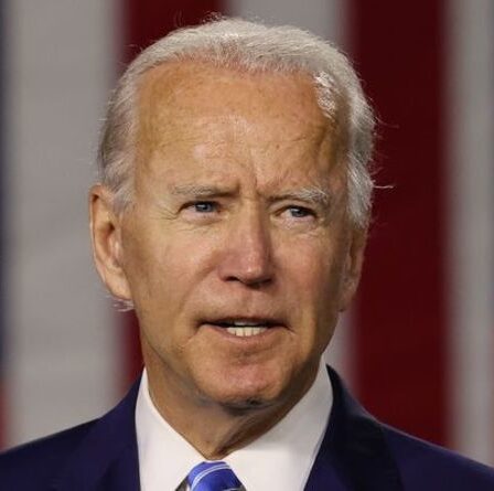 « Résolvez vos propres problèmes ! » Biden fustigé pour avoir pataugé dans la ligne du Brexit de l'article 16