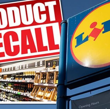 « Retournez-le » : Lidl rappelle d'urgence des jouets en raison d'un risque potentiel d'étouffement pour les enfants