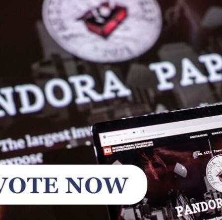 SONDAGE Pandora Papers : Est-il temps de rendre l'évasion fiscale illégale ?