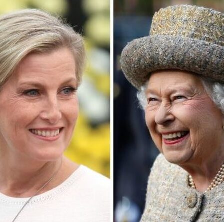 Sophie Wessex félicitée après son engagement clé: "L'arme secrète de la famille royale"