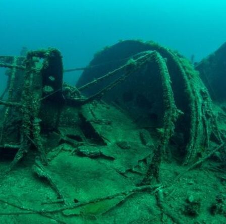 'Superbe!'  Les Britanniques peuvent visiter l'épave de la Royal Navy britannique dans le nouveau musée sous-marin de Turquie