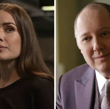The Blacklist saison 9 : Liz flashback 'seal's Red's véritable identité en tant que Katarina ?