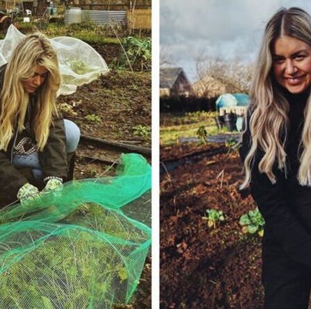 Un expert en jardinage met en garde contre le rangement cet hiver : « Ne dérangez pas !