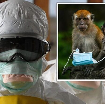 Une percée d'Ebola alors que le «talon d'Achille» du virus est exposé après la découverte «inattendue» d'un singe