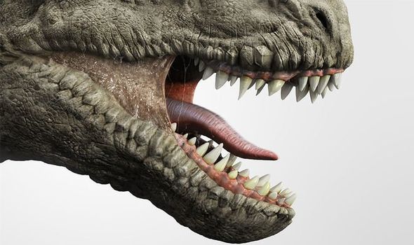 Science : L'étude a révélé que T. rex savait exactement quelles parties de ses proies étaient les meilleures