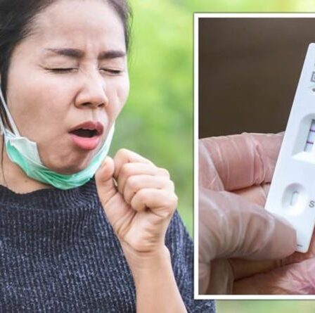 Une toux flegmée est-elle un signe de Covid ?  Symptômes Covid et partage super froid - vérificateur de symptômes