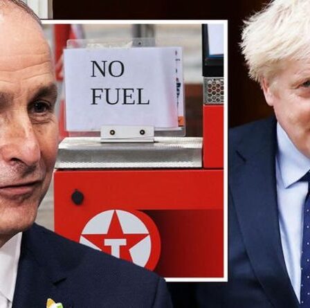 « Vous n'étiez pas préparé ! »  Le Premier ministre irlandais glorieux Martin tord le couteau sur le chaos du carburant au Royaume-Uni