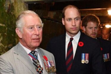 William et Charles exhortés à cesser de « laisser des bombes » car les futurs rois « aliéneront les gens »
