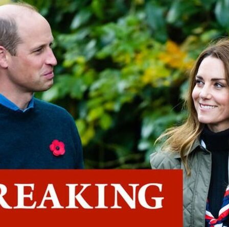 Déployer les gros canons!  Kate et William montrent le pouvoir de Firm alors qu'ils se mobilisent pour Queen