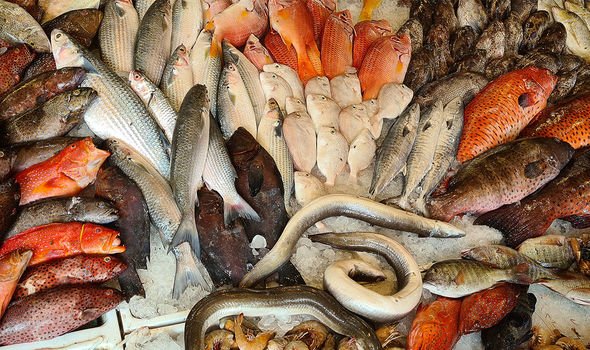 Variété : Les différents outils ont révélé que les pêcheurs savaient capturer une variété d'espèces