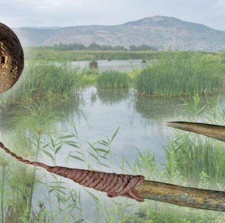 Percée archéologique après la découverte d'une ancienne canne à pêche humaine : « Incroyable »