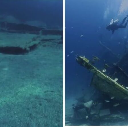 Des épaves de la Seconde Guerre mondiale disparaissent sans laisser de trace : des « professionnels bien organisés »