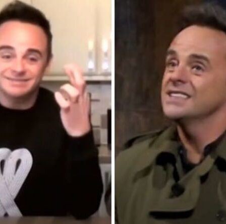 Ant McPartlin émet un avertissement sur l'avenir de I'm A Celebrity "Il y a une légère inquiétude"