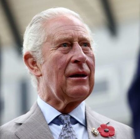 Aucune chance!  Charles ne passera pas la couronne directement à William - " J'ai attendu toute sa vie "