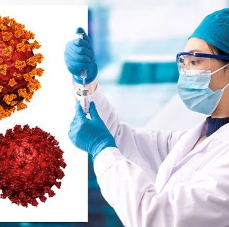 Avertissement de Covid sur la «nouvelle super-variante» en tant que souches COMBINE: «Doivent être prises au sérieux»