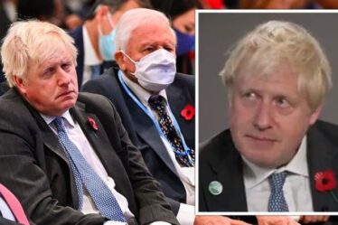 Boris Johnson confronté après être passé sans masque à côté d'Attenborough à la Cop26