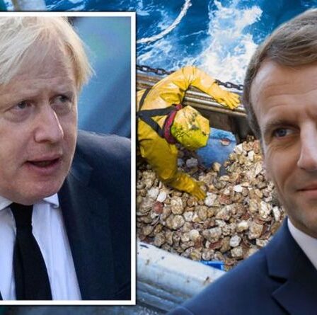 Brexit EN DIRECT : « Action imminente ! »  Les pêcheurs français se séparent de l'UE, menaçant directement le Royaume-Uni