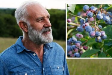 Comment vivre plus longtemps : le fruit qui combat le cancer et qui peut « prolonger la durée de vie » de 28 %