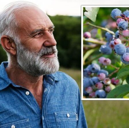 Comment vivre plus longtemps : le fruit qui combat le cancer et qui peut « prolonger la durée de vie » de 28 %