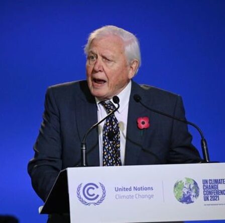 David Attenborough à la COP26 : Nous sommes en difficulté - la stabilité dont nous dépendons tous se brise