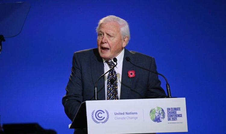David Attenborough à la COP26 : Nous sommes en difficulté - la stabilité dont nous dépendons tous se brise