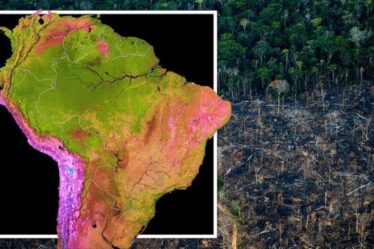 Forêt amazonienne : la taille de la zone 4X de Glasgow détruite dans COP RUN-UP - pourquoi cela VOUS affecte