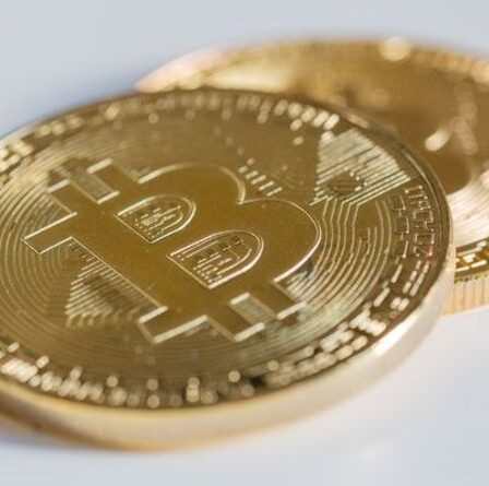 Histoire d'horreur crypto: Trader perd près de 2 millions de dollars de fortune Bitcoin après le vol de mot de passe
