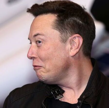 Le cours de l'action Tesla chute alors qu'Elon Musk propose une vente massive dans un sondage Twitter