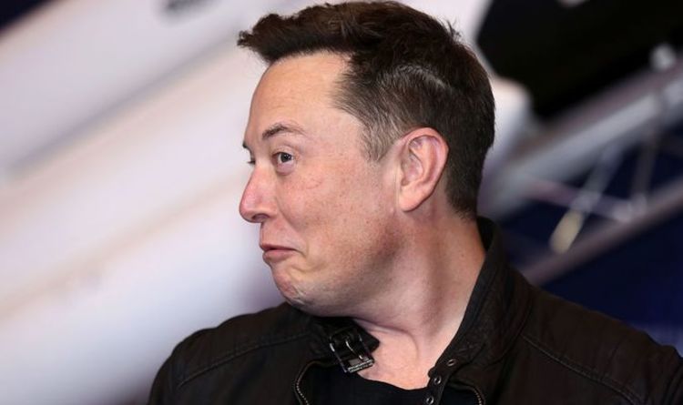 Le cours de l'action Tesla chute alors qu'Elon Musk propose une vente massive dans un sondage Twitter