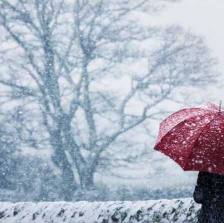 Le programme de paiement par temps froid a commencé - êtes-vous éligible pour un boost de 25 £ ?