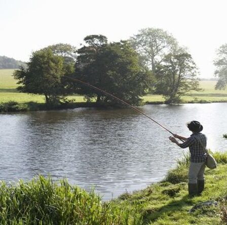 Les eaux usées et les prélèvements excessifs polluent « chaque rivière » au Royaume-Uni - Même les ruisseaux de craie clairs