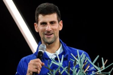 Novak Djokovic vise le record de Roger Federer pour couronner une année brillante