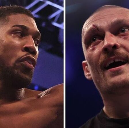 Oleksandr Usyk répond à Anthony Joshua en lui promettant qu'il sera plus "dangereux" en revanche