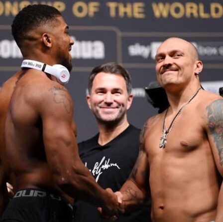 Oleksandr Usyk saute à la défense d'Anthony Joshua mais envoie un avertissement de revanche à son rival