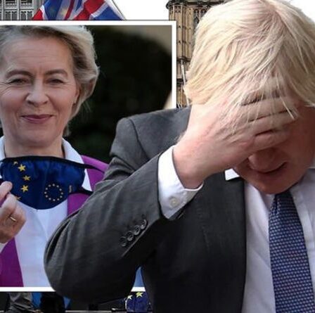 Sondage sur le Brexit : Boris a porté un coup dur alors que plus de la MOITIÉ des adultes britanniques veulent REJOINDRE L'UE